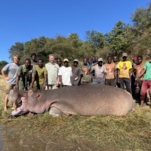 Hippo Hunt Zimbabwe