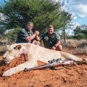 White Lioness Hunt South Africa