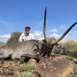 31 Inch Waterbuck Hunt South Africa