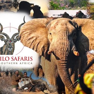 Umlilo Safaris Promo Video 2024/2025