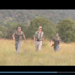 Hunting Zebra at Spiral Horn Safaris in SA