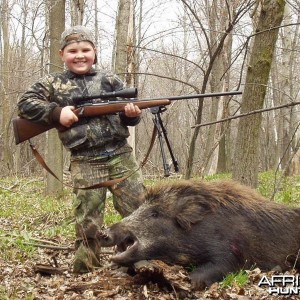 Hunting Pigs
