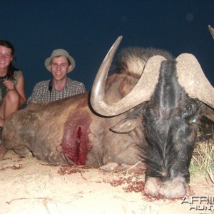 Mattias culling Black wildebeest