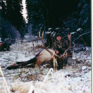 2000 Berland Elk