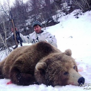 Hunting Brown Bear in Kamtschatka