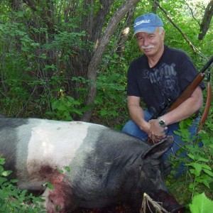 Hunting Pig