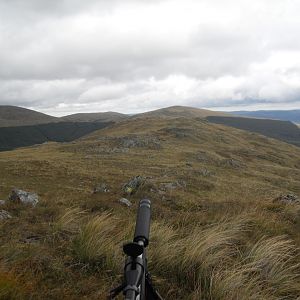 Hunting in the Scottish Mountains