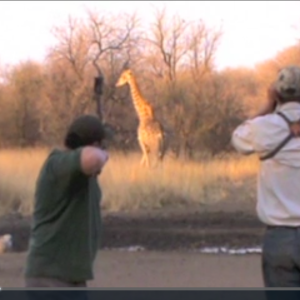 Bow Hunting Giraffe