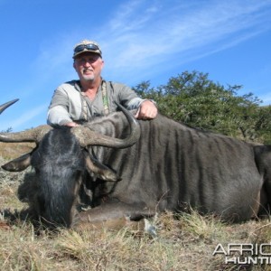 Blue Wildebeest East Cape, SA 2004