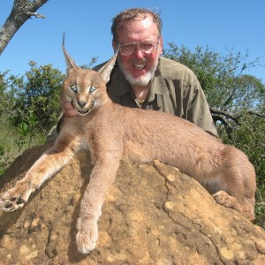 Cape Lynx hunted with Andrew Harvey Safaris