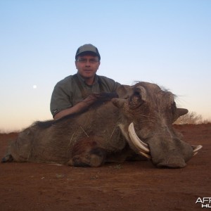 Warthog- Spiral Horn Safaris