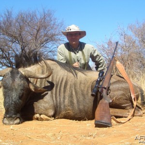 Blue Wildebeest - Spiral Horn Safaris