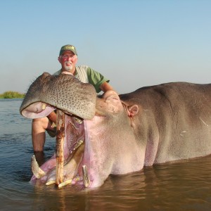 Hippo Mozambique