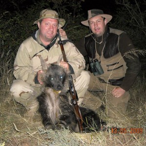 Hunting Brown Hyena - Borris &  Jaaka Slovenia