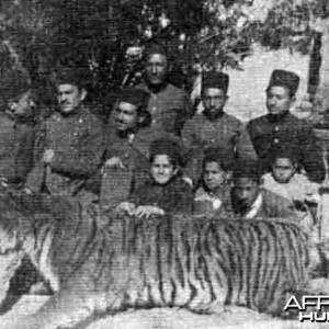 Qajar Mazandaran Tiger Hunt