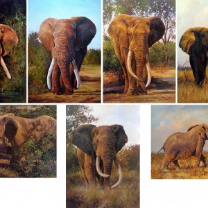 The Magnificent 7 by Dawie Fourie