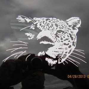 Leopard Decal Stickers
