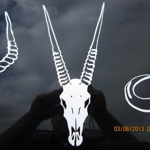 Gemsbok/Oryx Decal Stickers