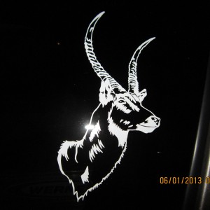 Waterbuck Decal Stickers