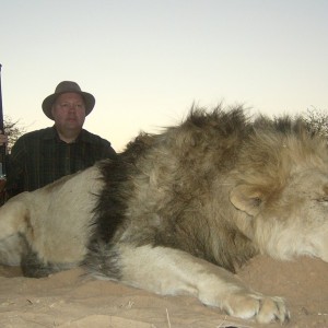 Lion with Savanna Hunting Safari's