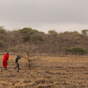 Plains game hunting, Tanzania
