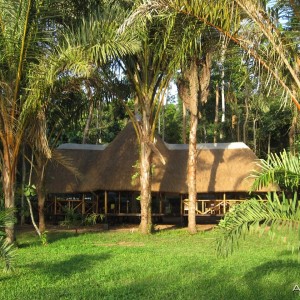 Ssese Island Lodge