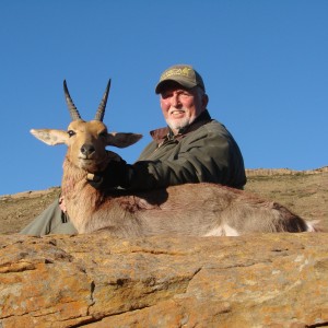 Mountain Reedbuck - Lategan Safaris