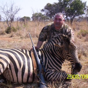 Zebra - Bushwack Safaris