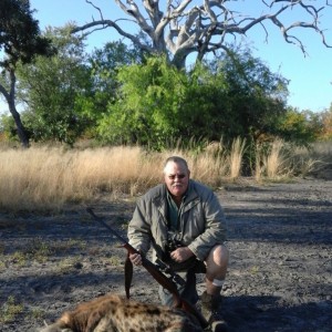 spotted hyena Zimbabwe