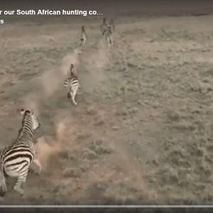 Promotion Video For Our South African Hunting Concession