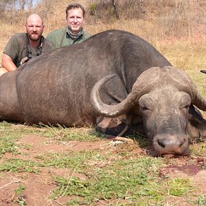 Buffalo Hunt in Zimbabwe
