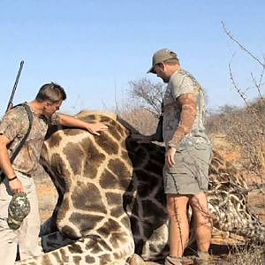 Hunting Giraffe with Leopard Legend Hunting Safaris