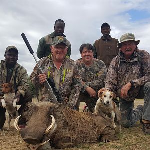 Warthog  Hunting in South Africa