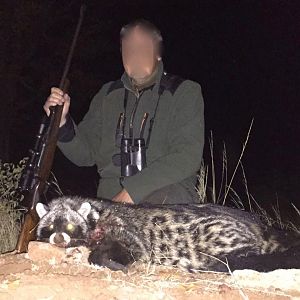 African Civet Hunting