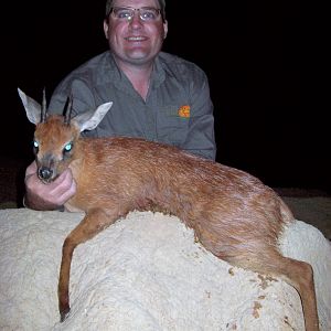 Hunt South Africa Red Duiker