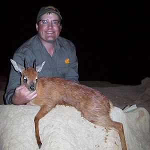 South Africa Red Duiker Hunting