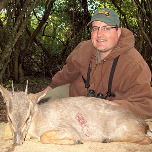 Hunting South Africa Blue Duiker