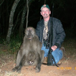 Babboon hunt in Northwest Province SA