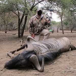 Blue Wildebeest Bow Hunt in South Africa