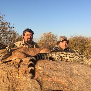 Caracal & Genet Hunt South Africa