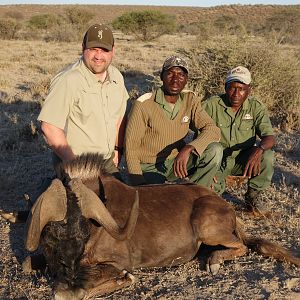 Hunting Namibia Black Wildebeest