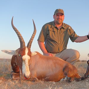 Namibia Blesbok Hunt