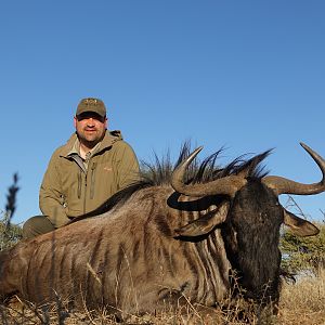 Blue Wildebeest Namibia Hunting
