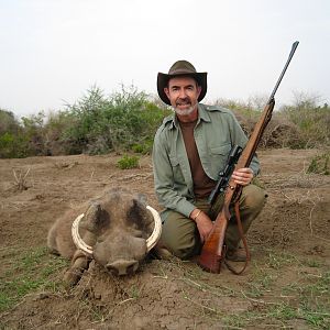 Warthog Hunt Awash, Ethiopia