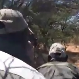 Lion Hunt that almost went wrong