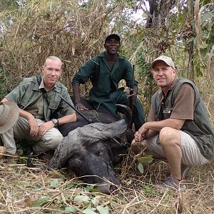 Cape Buffalo Zambia Hunting