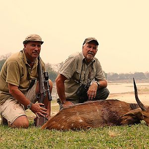 Bushbuck Hunting in Zambia