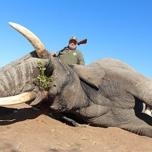 Namibian Elephant