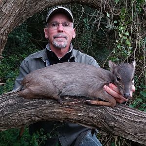 Blue Duiker Hunt South Africa