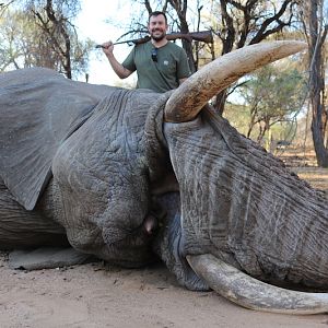Elephant NAMIBIA